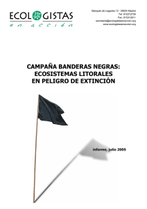 Informe Banderas Negras 2005