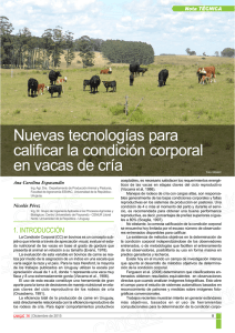 Nuevas tecnologías para calificar la condición corporal en vacas de