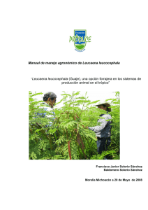 Manual de manejo agronómico de Leucaena leucocephala