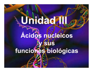 ac. nucleico - IBQ