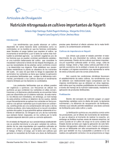 Nutrición nitrogenada en cultivos importantes de
