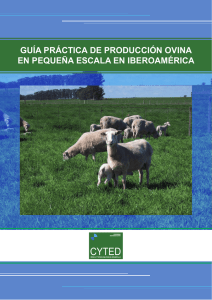 Guía Práctica para producción ovina en Iberoamérica