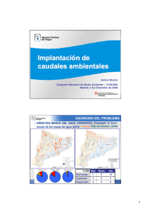 Implantación de caudales ambientales