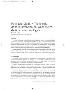 Patología digital y tecnología de la información en los servicios de