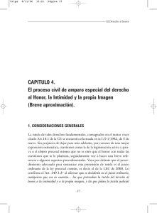 CAPITULO 4. El proceso civil de amparo especial