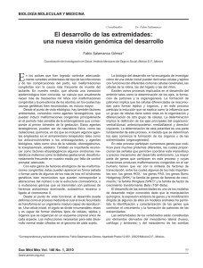 El desarrollo de las extremidades: una nueva visión genómica del