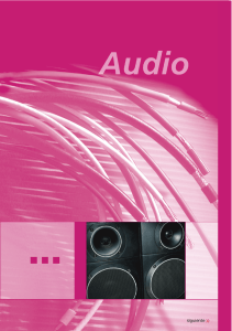 audio PDF - Cables Epuyen SRL