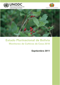Estado Plurinacional de Bolivia: Monitoreo de cultivo de coca 2010