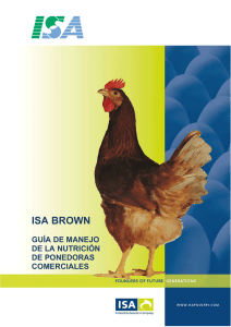 isa brown - Mercoaves