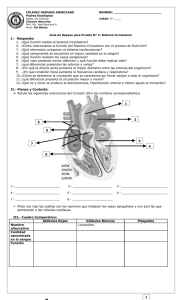 1. ¿Qué función realiza el Sistema Circulatorio?