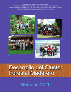 Desarrollo del Cluster Forestal Maderero Desarrollo del Cluster
