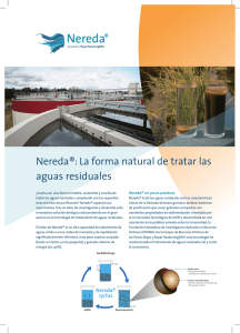 Nereda®: La forma natural de tratar las aguas residuales