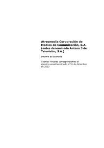 Informe de Auditoría 2013. Cuentas anuales e Informe