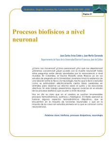 Stud_1-1_A05_Procesos biofísicos a nivel neuronal