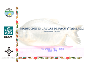 Manual I para la producción de Pacú y Tambaquí en Jaulas flotantes