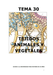 TEMA 30 TEJIDOS ANIMALES Y VEGETALES