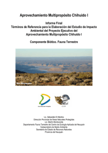 Informe Final Chihuido I Fauna Terrestre-2008