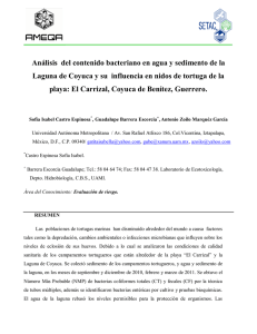 E.ER14 - Asociación Mesoamericana de Ecotoxicología y Química