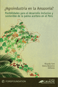 ¿Agroindustria en la Amazonía?: posibilidades para el