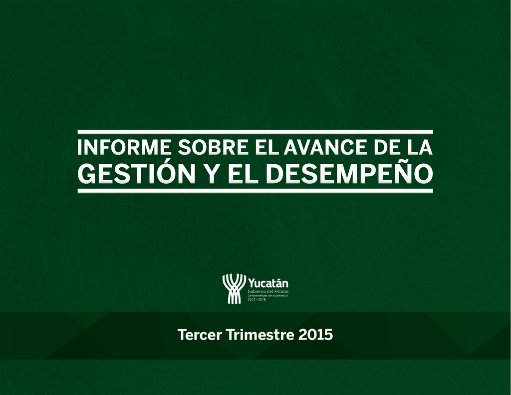 Informe sobre el Avance de la Gestión y el Desempeño