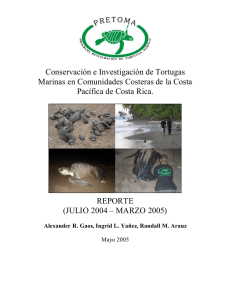Conservación e Investigación de Tortugas Marinas en