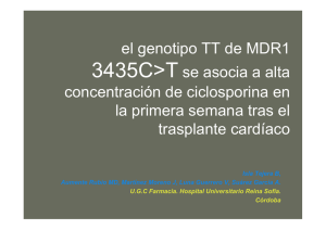 el genotipo TT de MDR1 3435C T> se asocia a alta t ió d i l i