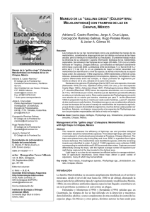 Descargar/Download PDF - Sociedad Entomológica Aragonesa