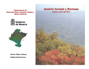 Gestión forestal y Biomasa
