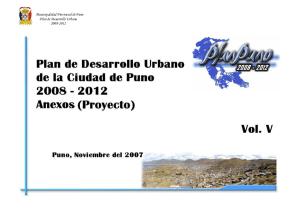 Municipalidad P rovincial de P uno Plan de Desarrollo Urbano 2008