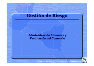 Gestión de Riesgo - Dirección General de Servicios Aduaneros