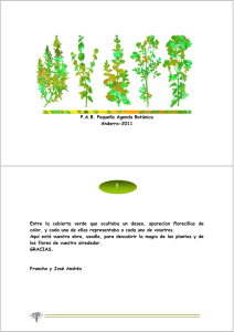 PAB Pequeña Agenda Botánica Andorra-2011 Entre la