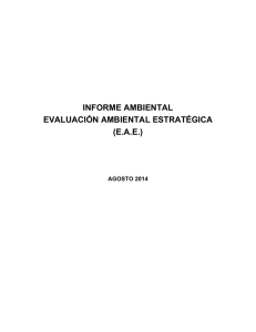 informe ambiental evaluación ambiental estratégica