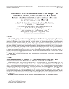 Distribución espacial de la fructificación del hongo ECM