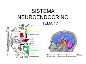 Desarrollo del sistema nervioso