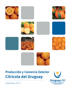 sector-citricos-setiembre-2015-uruguay-xxi
