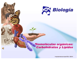 biomoleculas 1 - Liceo Bicentenario Talagante