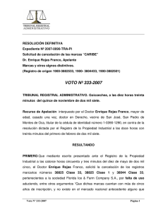 VOTO Nº 333-2007 - Tribunal Registral Administrativo
