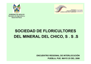 SOCIEDAD DE FLORICULTORES DEL MINERAL DEL CHICO, S . S