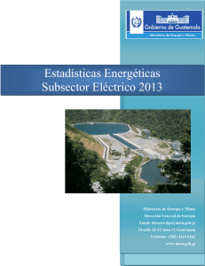 informe de estadísticas energéticas 2013