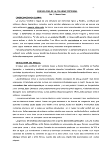 CINESIOLOGIA DE LA COLUMNA VERTEBRAL Dra. C. Marco Sanz