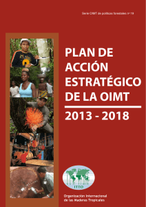 plan de acción estratégico de la oimt 2013 - 2018