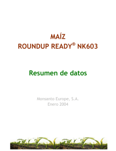 MAÍZ ROUNDUP READY NK603 Resumen de datos