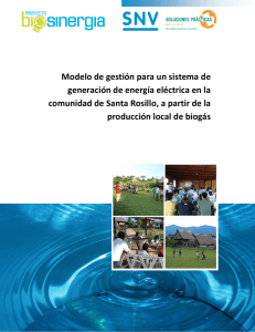 Modelo de gestión para un sistema de generación de energía