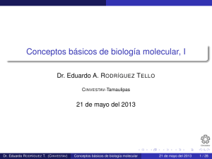 Conceptos básicos de biología molecular, I - Cinvestav