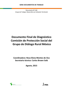 Documento Final de Diagnóstico Comisión de Protección