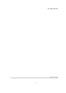 Llu&iacute;s Puig Verdi&eacute; [CV] 1 Curr&iacute;culum Vitae