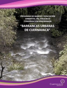 Barrancas_Urbanas - Ayuntamiento de Cuernavaca