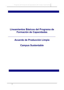 Lineamientos del Programa de Formación de Capacidades