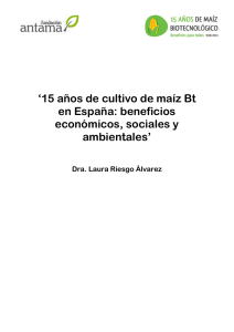 `15 años de cultivo de maíz Bt en España: beneficios económicos