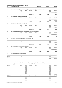 Presupuesto parcial nº 1 SEGURIDAD Y SALUD Nº Ud
